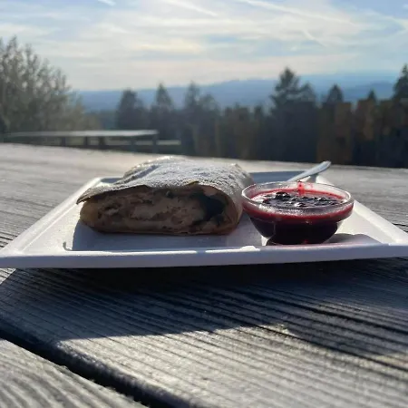 Planinski Dom Jance Πανσιόν *