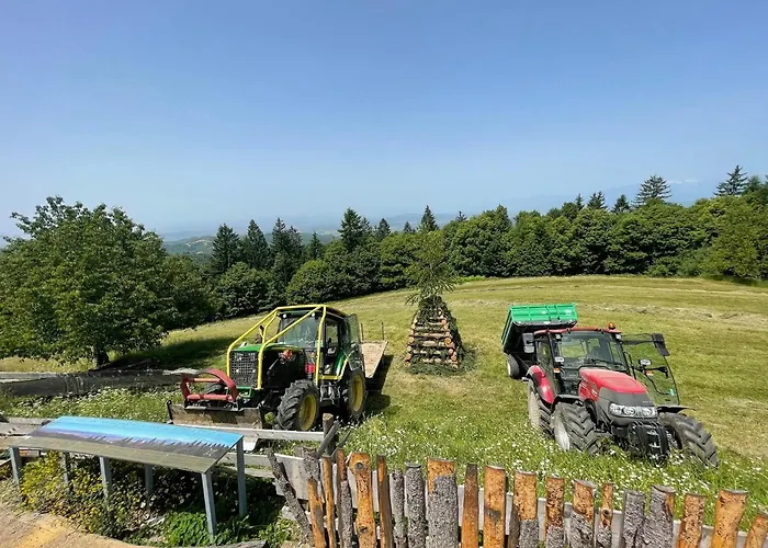 Penzion Planinski Dom Jance