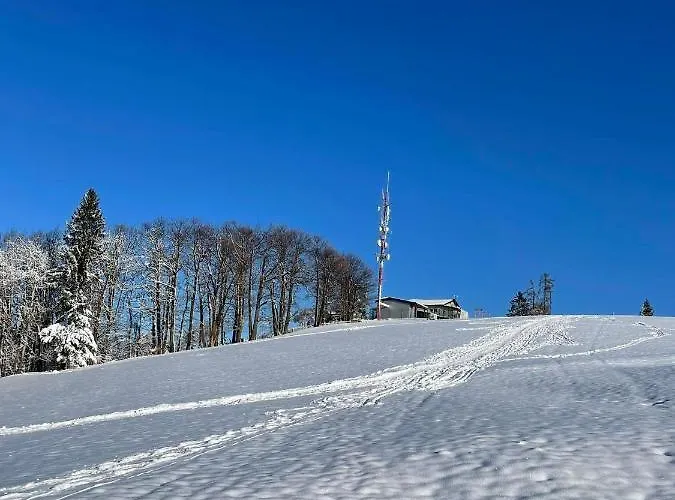 Penzion Planinski Dom Jance