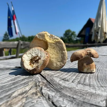 Planinski Dom Jance * לובליאנה