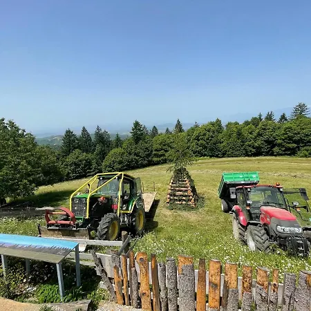 Affittacamere Planinski Dom Jance