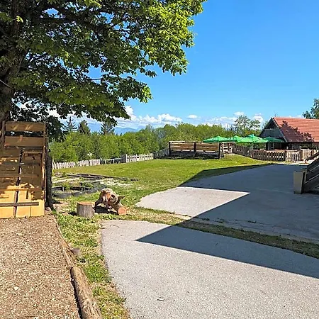 Gasthof Planinski Dom Jance