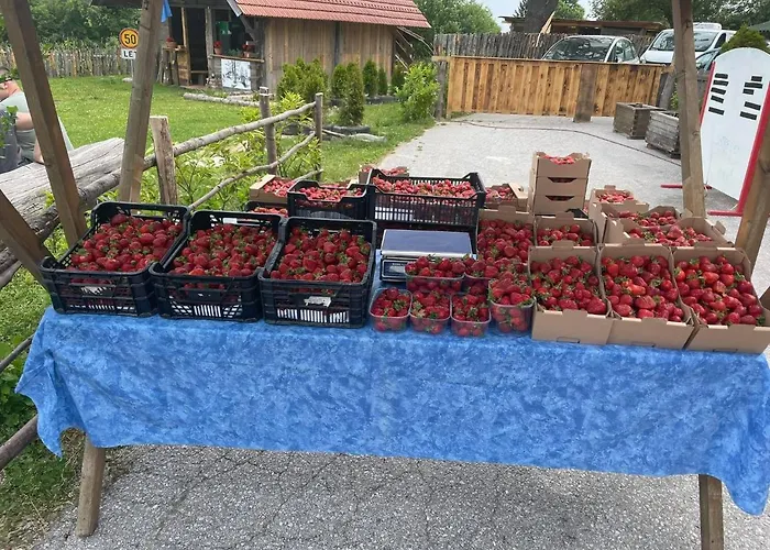 Guest house Planinski Dom Jance Ljubljana