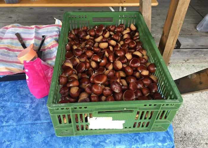 Planinski Dom Jance *