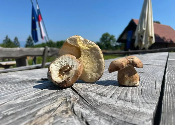 Planinski Dom Jance * Ljubljana