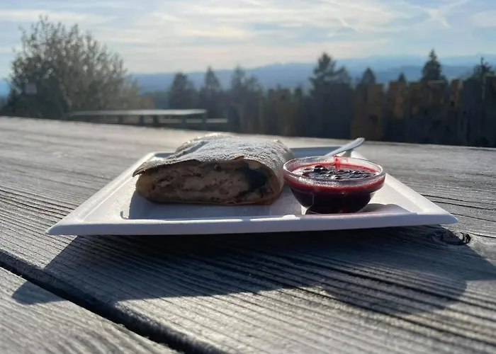 Planinski Dom Jance Guest house *